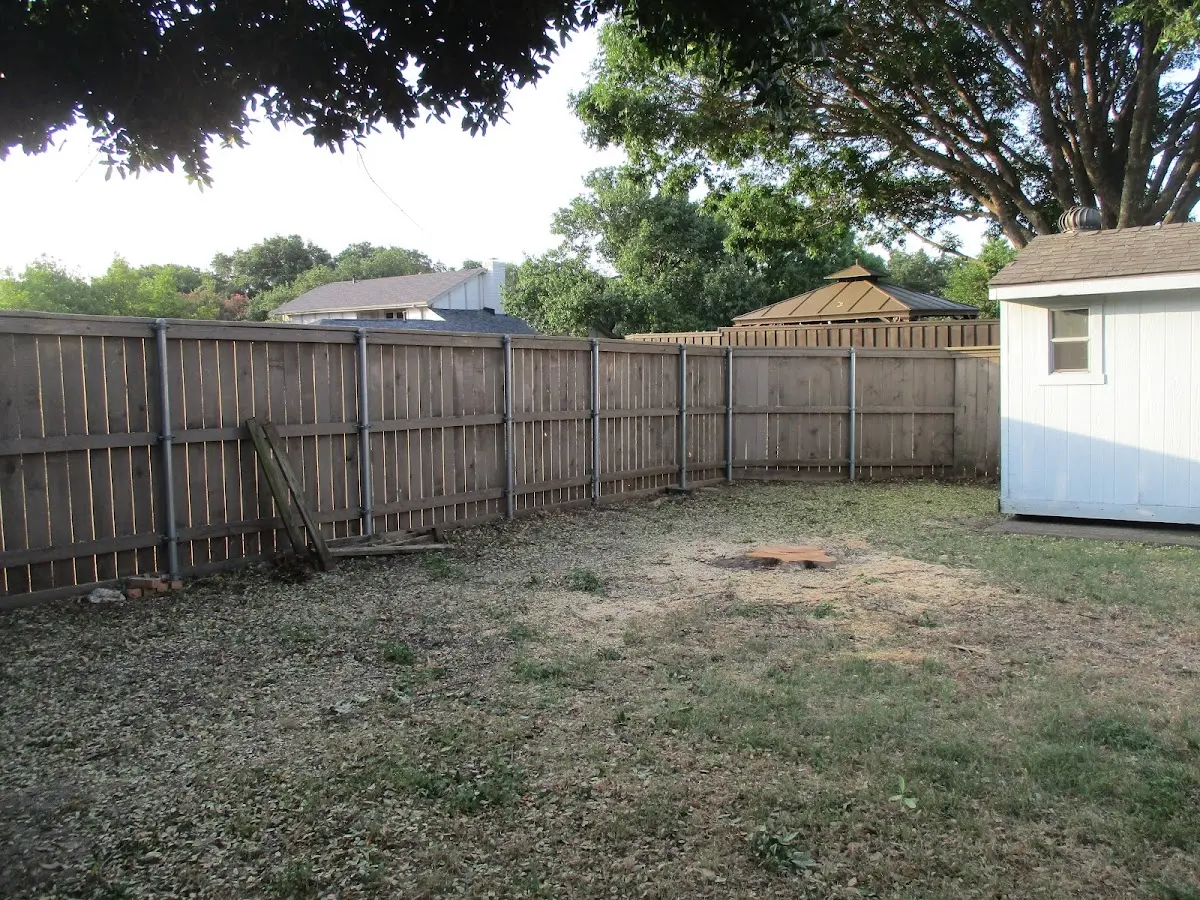 Cleared yard after professional tree removal in Talmage