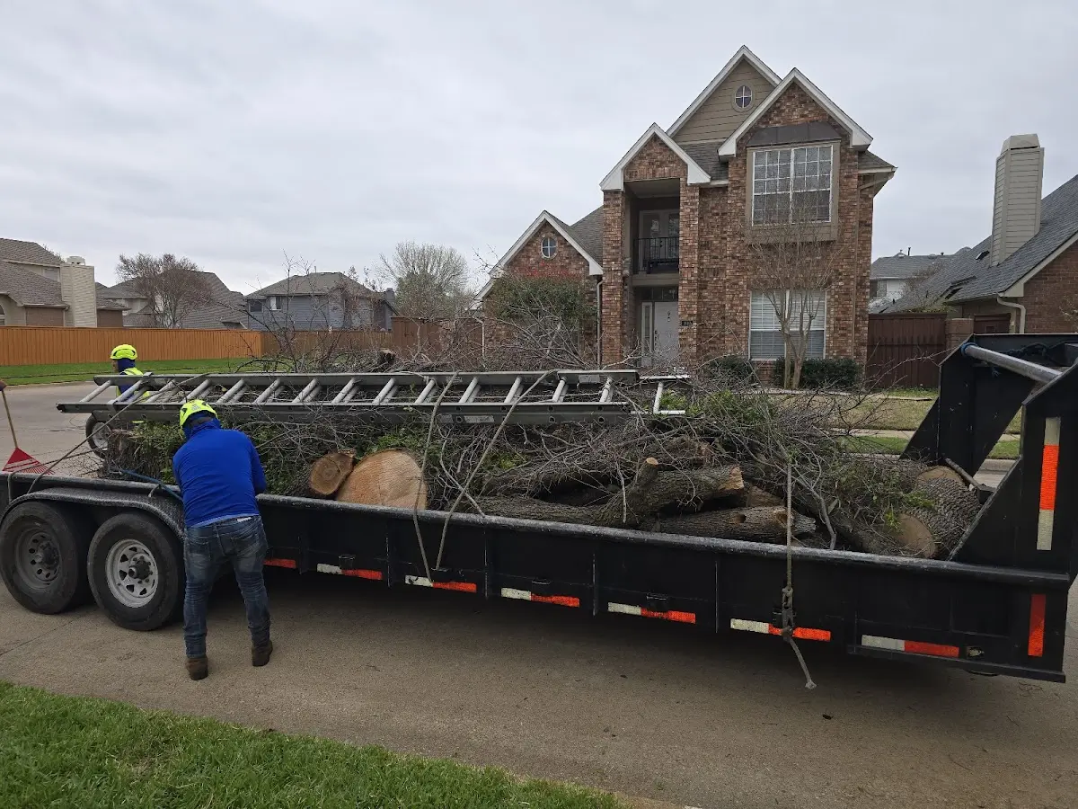Expert Tree Fertilization with proper safety equipment in Talmage